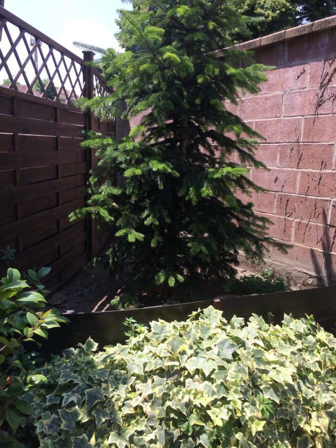 דירות אסטי La Porta Nel Giardino מראה חיצוני תמונה