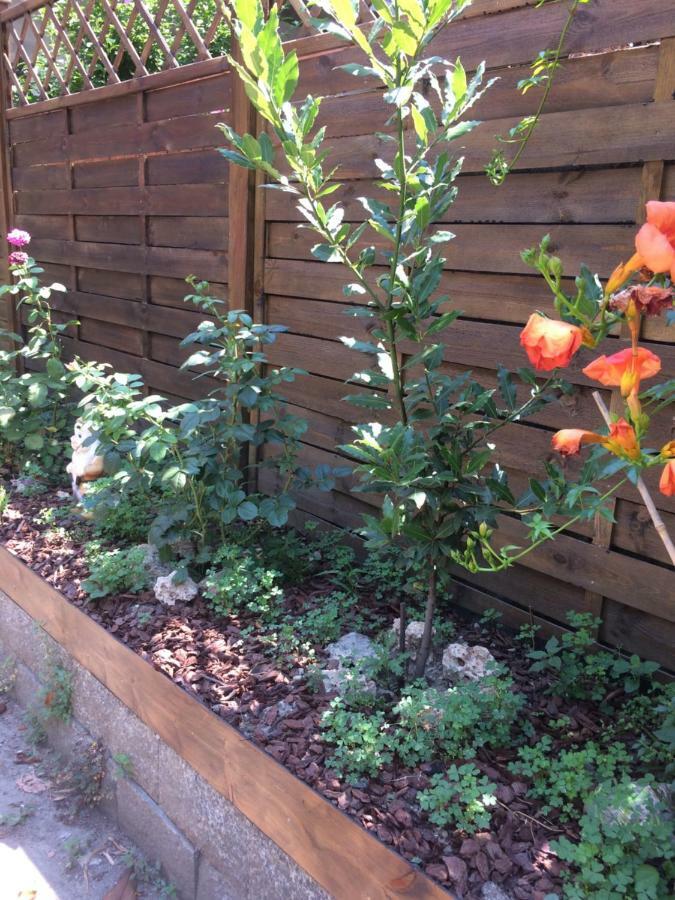 דירות אסטי La Porta Nel Giardino מראה חיצוני תמונה