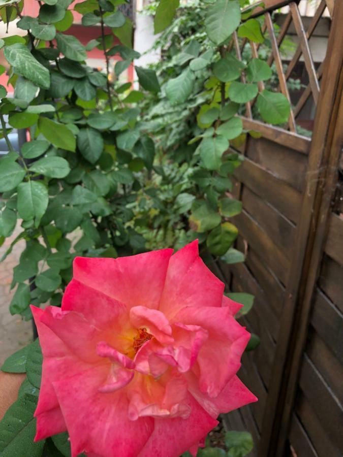 דירות אסטי La Porta Nel Giardino מראה חיצוני תמונה